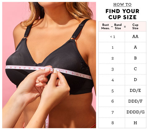 Find your cup size